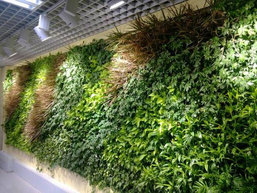 陜西仿真植物廠(chǎng)家